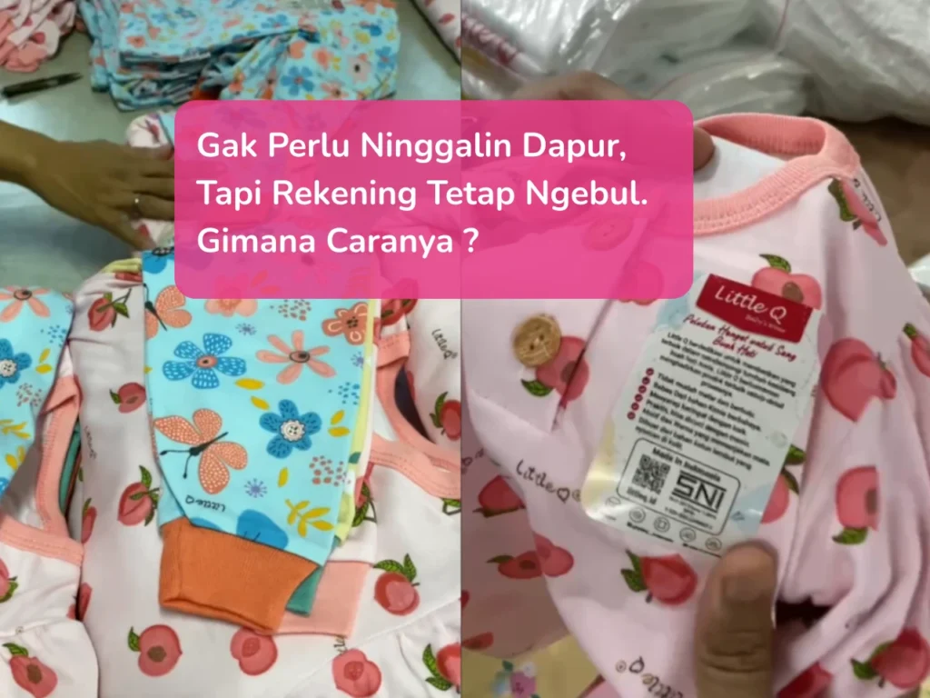 peluang bisnis online pemula