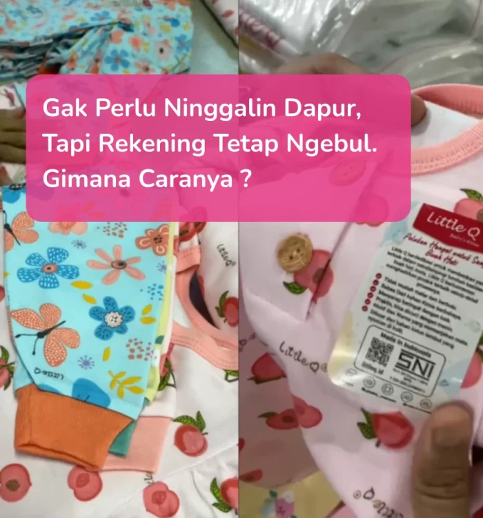 peluang bisnis online pemula